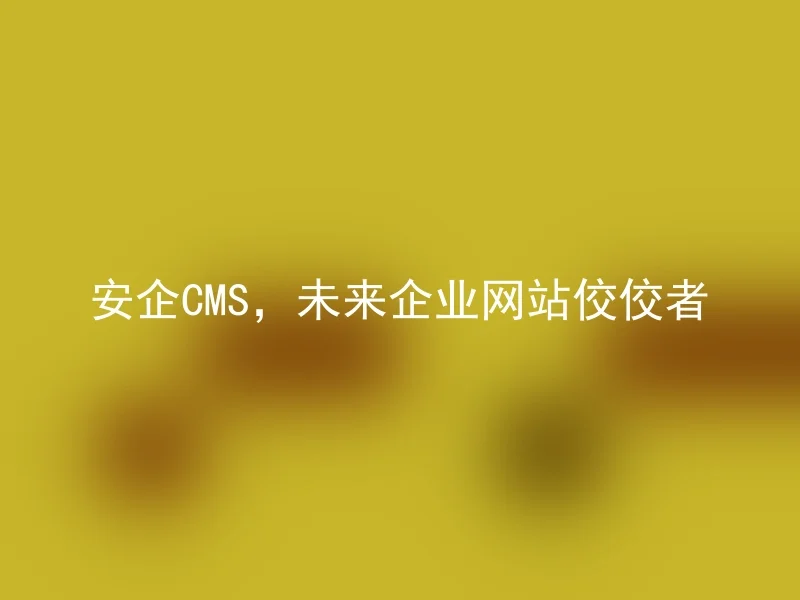 安企CMS,未来企业网站佼佼者