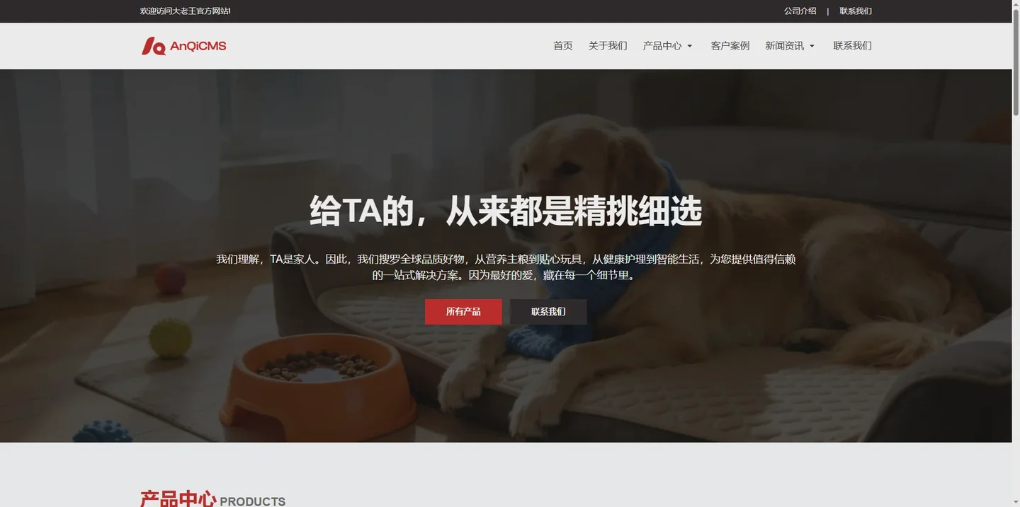 安企中文模板-大老王-001