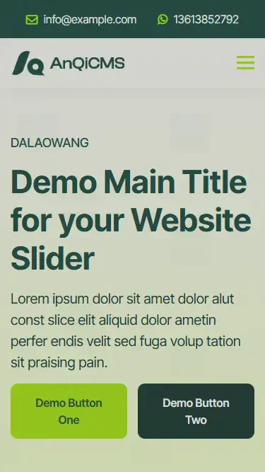 安企英文模板-大老王-008