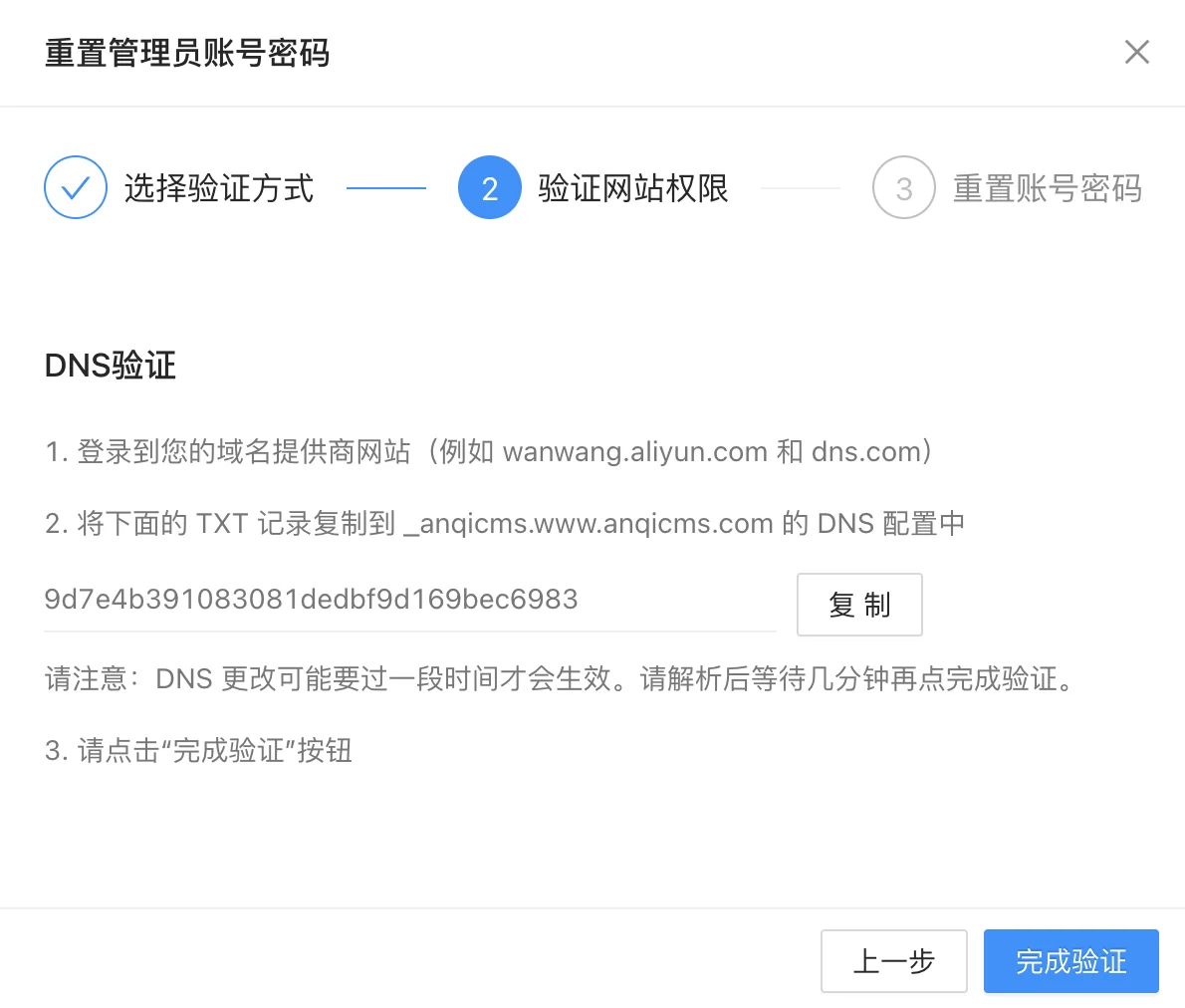 DNS验证界面